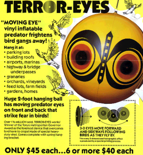 Terror-Eyes